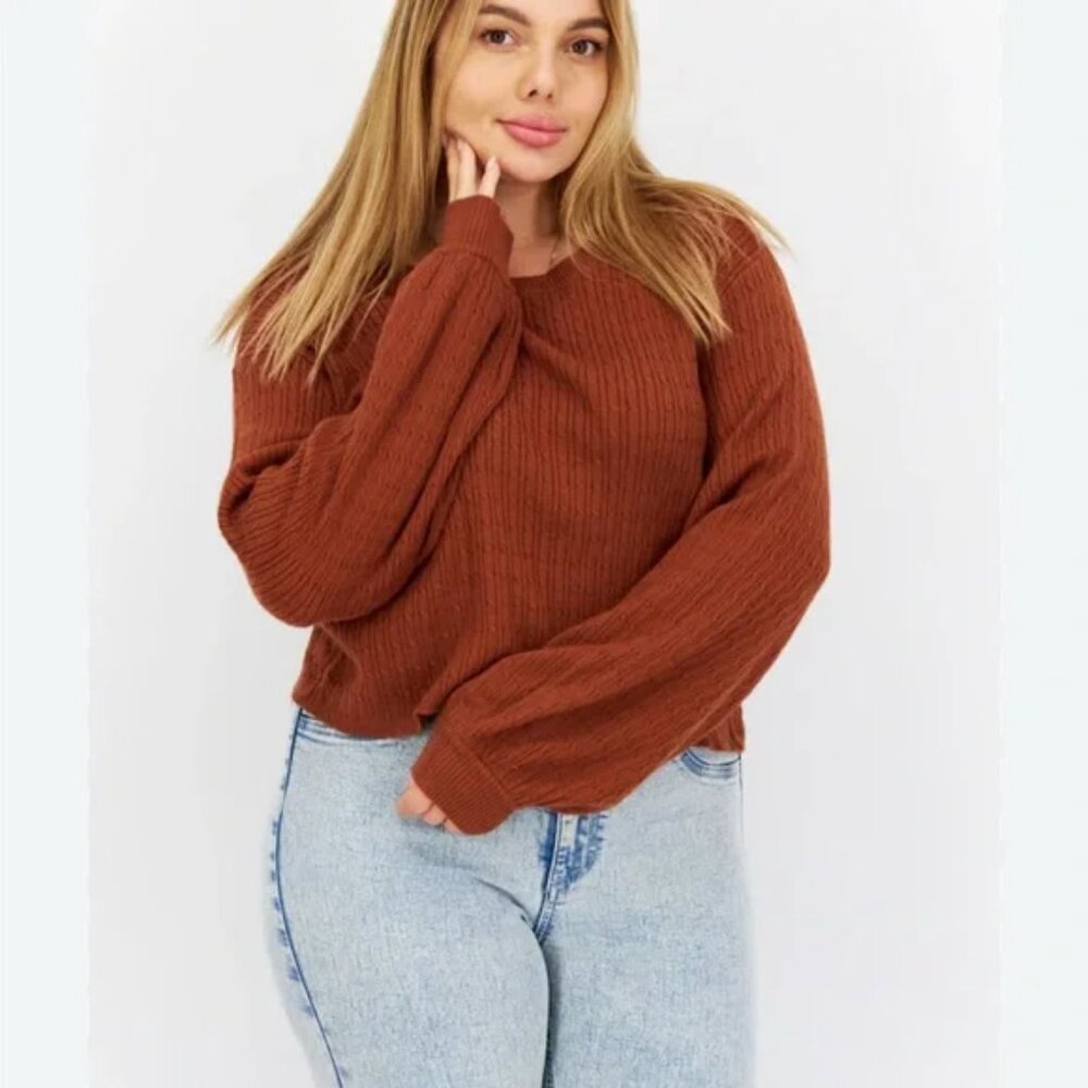 BB Dakota Rust Crew Neck Sweater